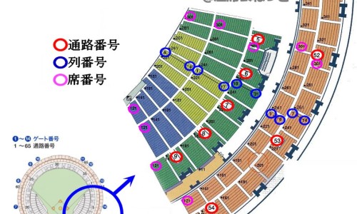精锐素是什么药-到精锐功效网精锐什么意思知识网站,分享精锐素吃多久有效果大全